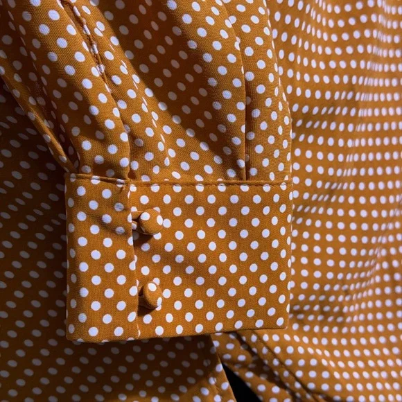 Rachel Zoe V-neck blouse with polka dot print Size L - Picture 4 of 6